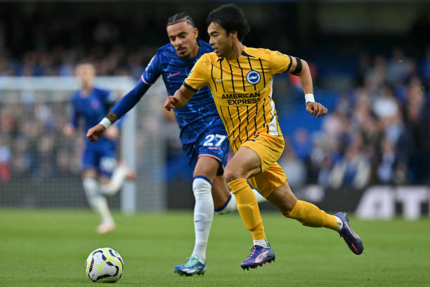 凯恩包厢的 凯恩包厢的