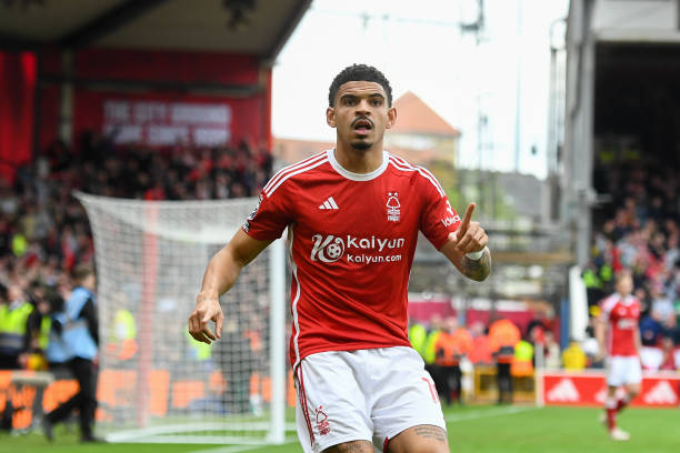 莫拉塔的实 莫拉塔的实